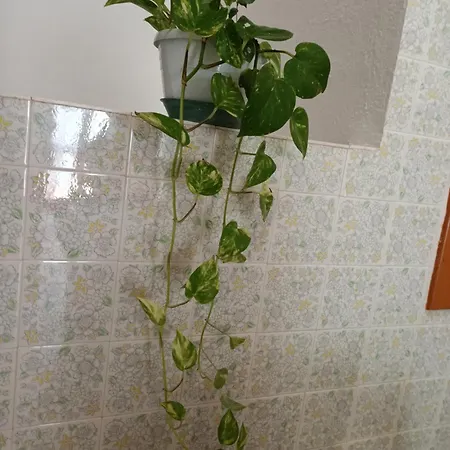 Il Telaio Sardo Bonarcado