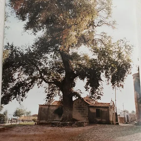 Il Telaio Sardo Vakantiehuis Bonarcado